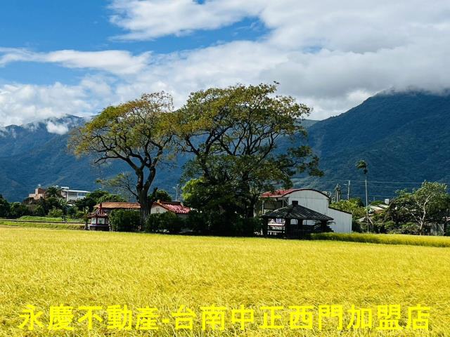 池上農地-12