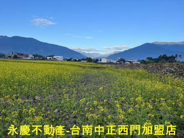 池上農地-13