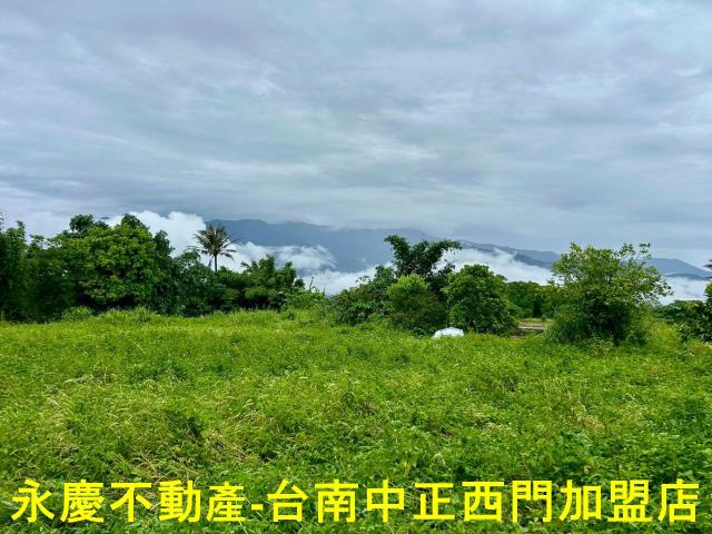 池上農地-2