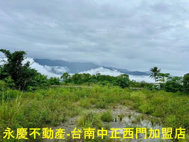池上農地-4