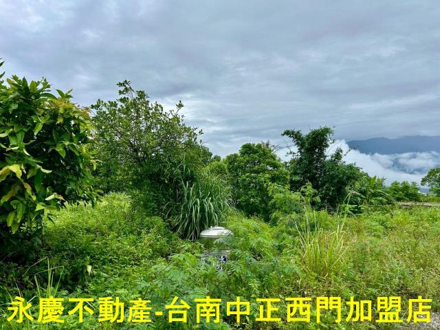 池上農地-6