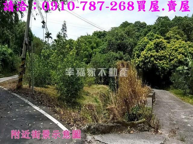 嘉義農地-14