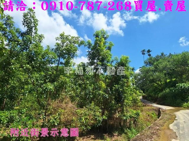 嘉義農地-1