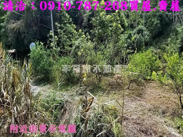 嘉義農地-4