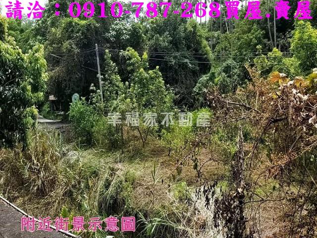 嘉義農地-5