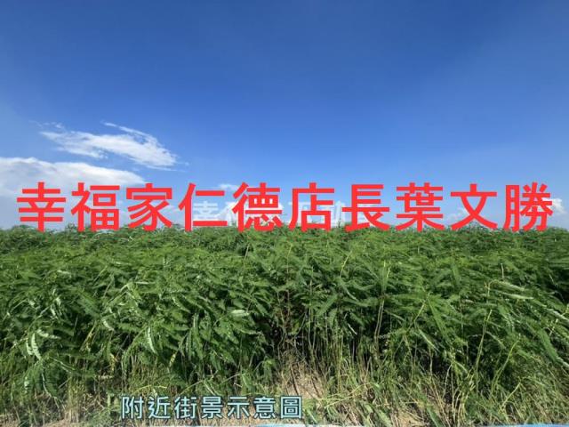 台南善化農地-14