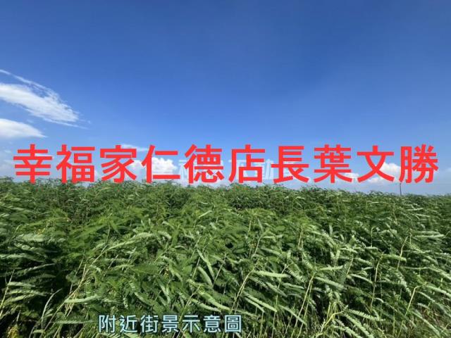 台南善化農地-3