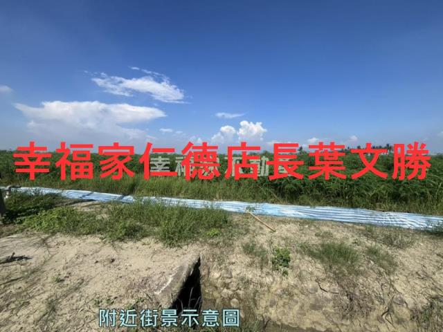 台南善化農地-5