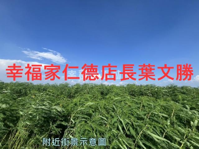 台南善化農地-7