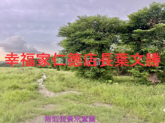 台南新市農地-10