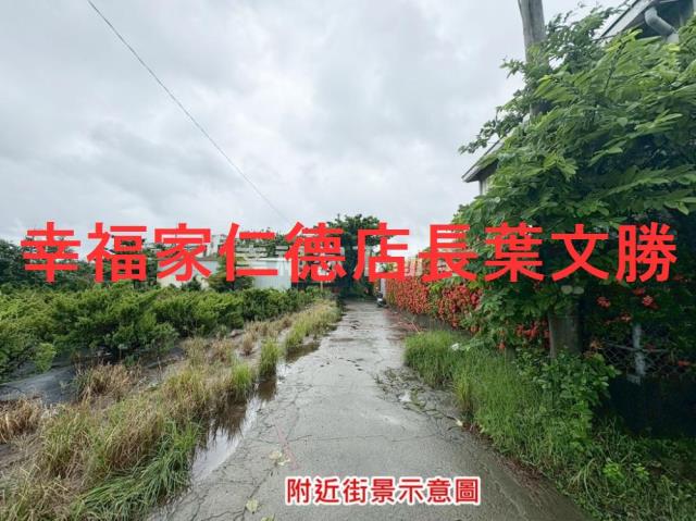 台南仁德農地-8