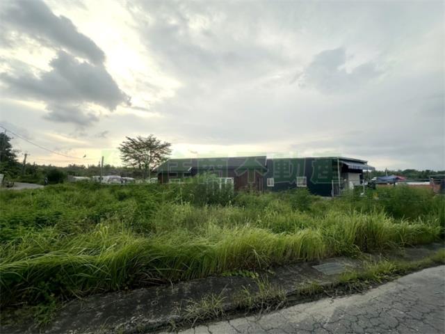 高雄大寮農地-11