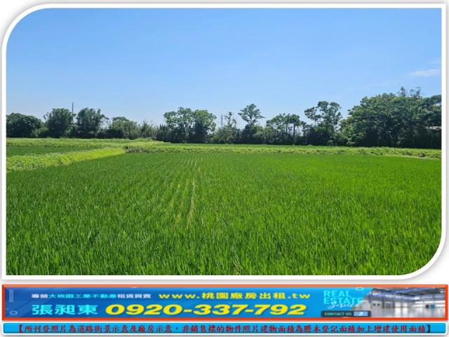 桃園新屋農地-0