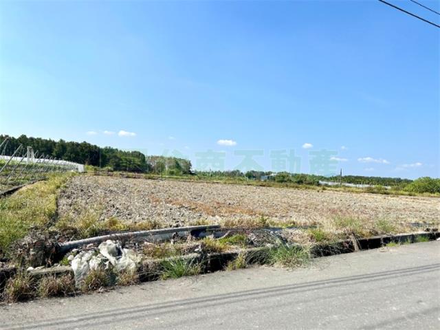 屏東高樹農地-1