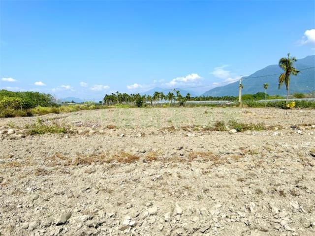 屏東高樹農地-2