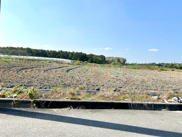 屏東高樹農地-3