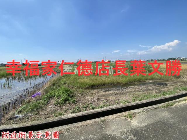 台南新市農地-9