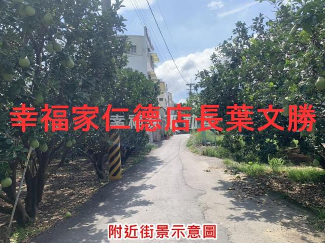 台南麻豆農地-11