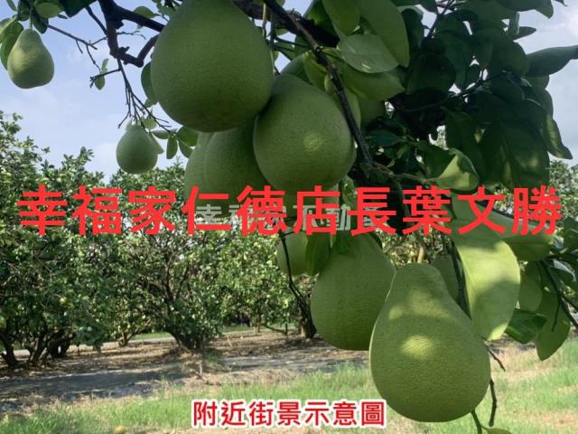 台南麻豆農地-14