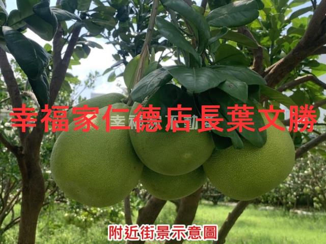 台南麻豆農地-2