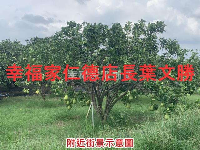 台南麻豆農地-5