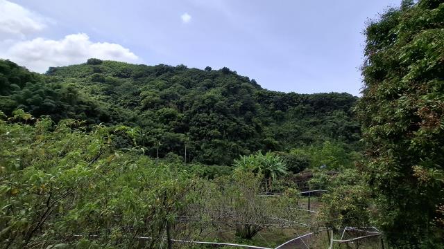 台中東勢農地-10