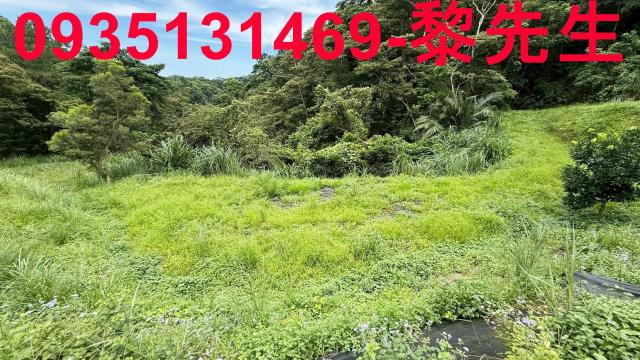 苗栗南庄農地-13