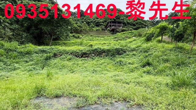 苗栗南庄農地-5
