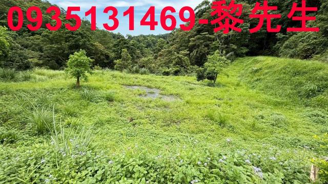 苗栗南庄農地-8