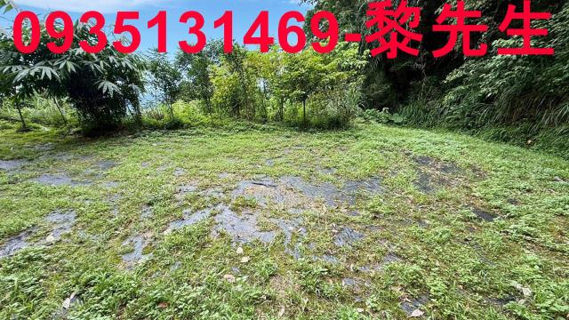 苗栗南庄林地-9