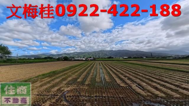 宜蘭三星農地-1