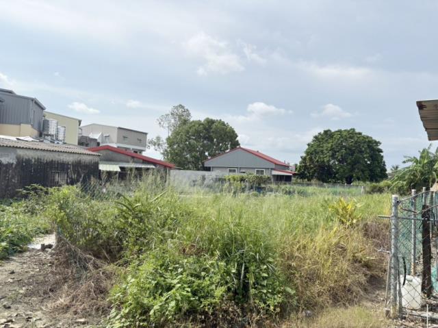 阿蓮建地-5