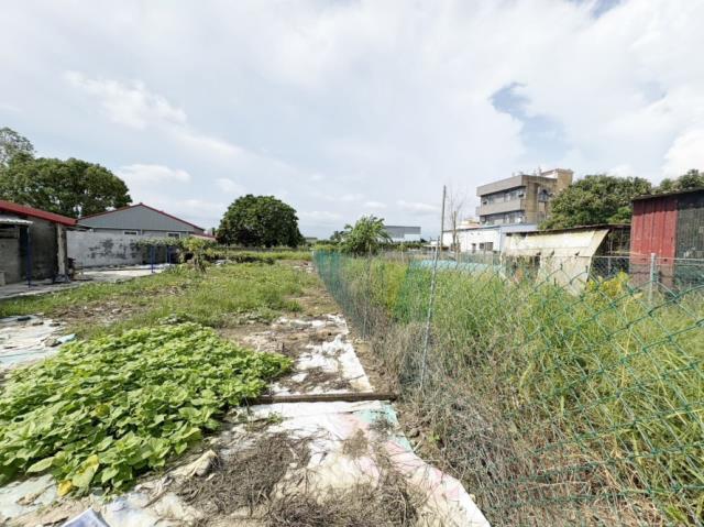 阿蓮建地-8