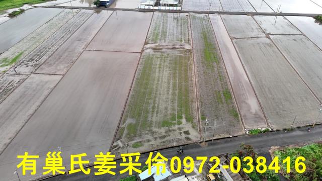 嘉義農地-0