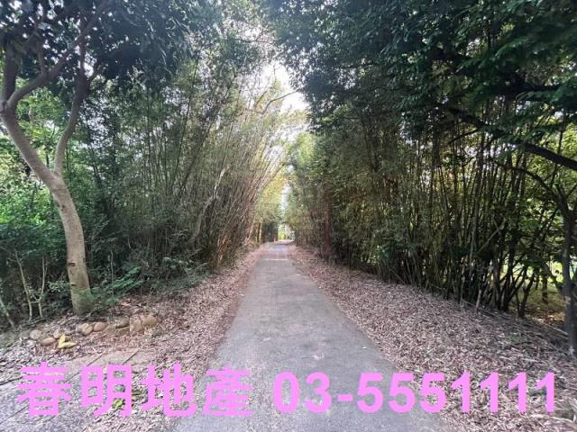 新竹新埔農地-6