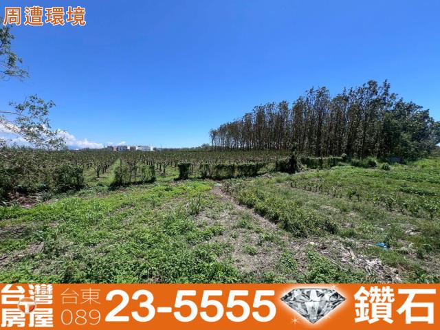台東市農地-1