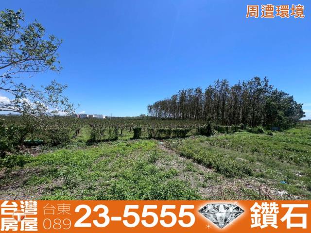 台東市農地-3