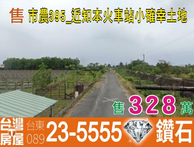 台東市農地-4