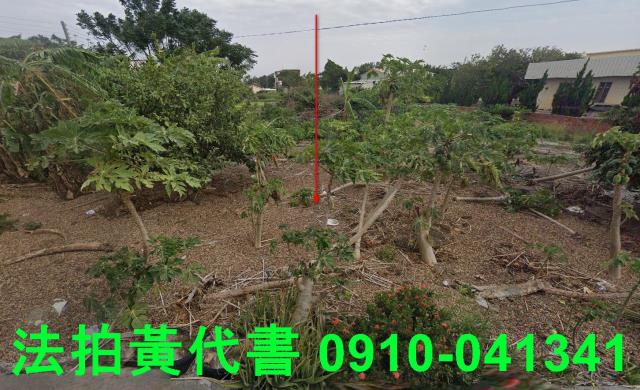 麥寮建地拍賣-0