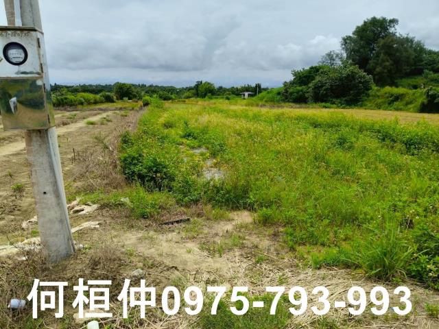 後龍農地-1