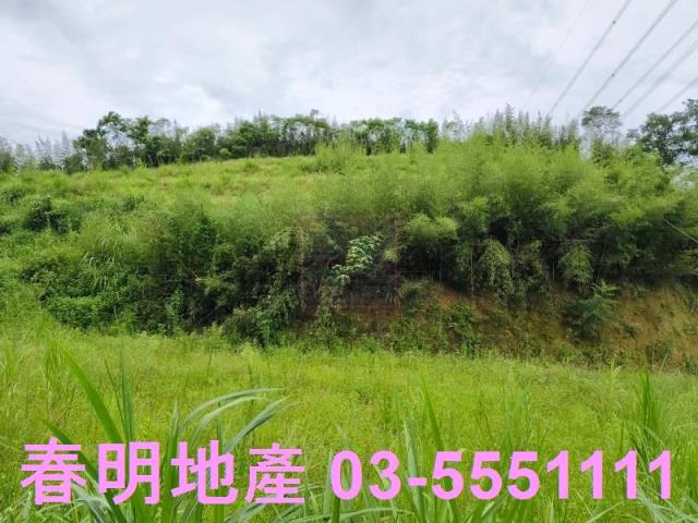 新竹峨眉農地-10