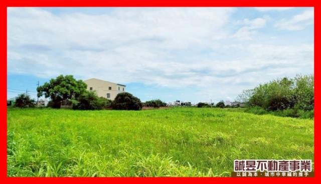 台南佳里農地-0