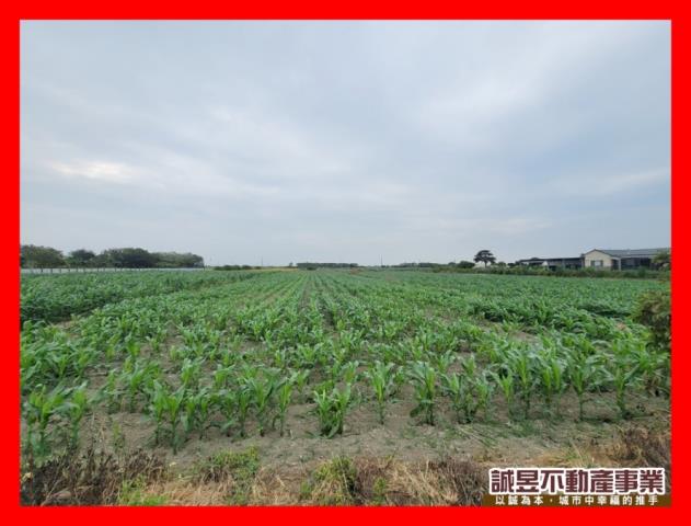 台南佳里農地-0