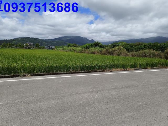 員山農地-9