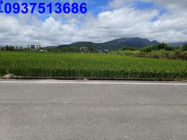 員山農地-0