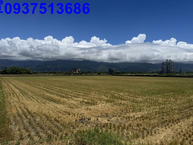 礁溪農地-9