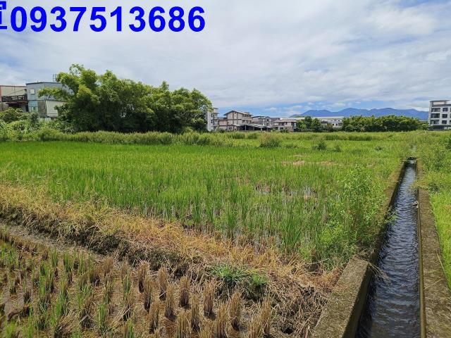 宜蘭市農地-11