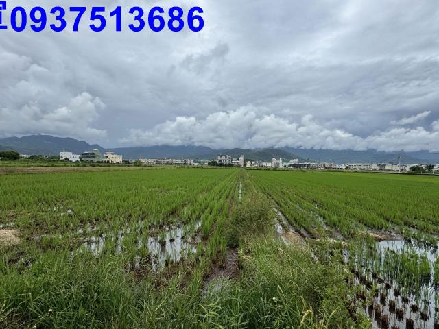 員山農地-12