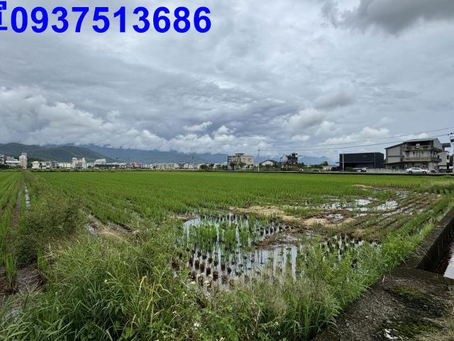 員山農地-6