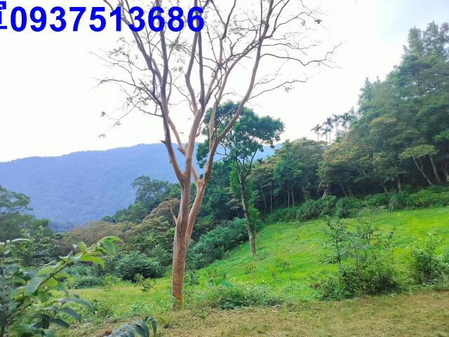 宜蘭農地-9